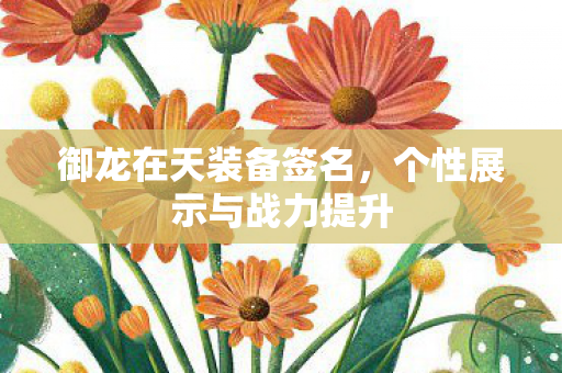 个性展示与战力提升图片