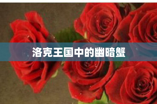 洛克王国中的幽暗蟹图片