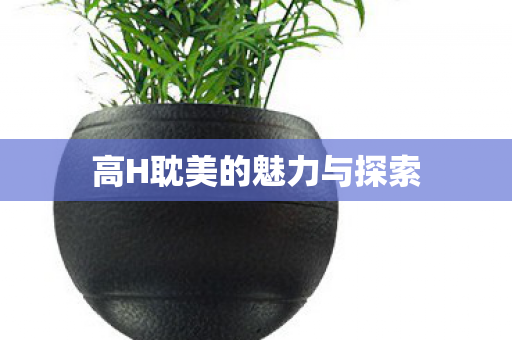 高H耽美的魅力与探索图片