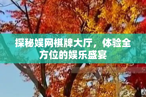 体验全方位的娱乐盛宴图片