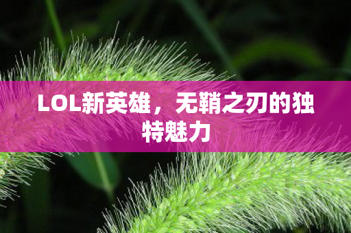 无鞘之刃的独特魅力图片