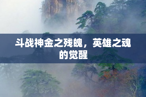 斗战神金之残魄图片