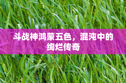 混沌中的绚烂传奇图片