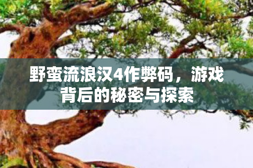 游戏背后的秘密与探索图片