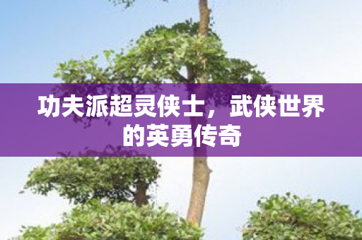 武侠世界的英勇传奇图片
