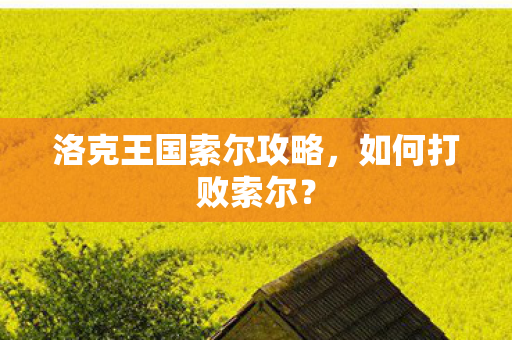 洛克王国索尔攻略图片