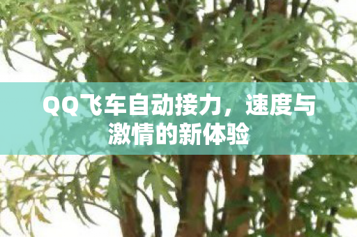 速度与激情的新体验图片
