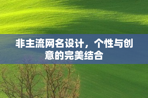 个性与创意的完美结合图片