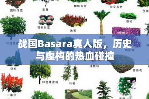 战国Basara真人版图片