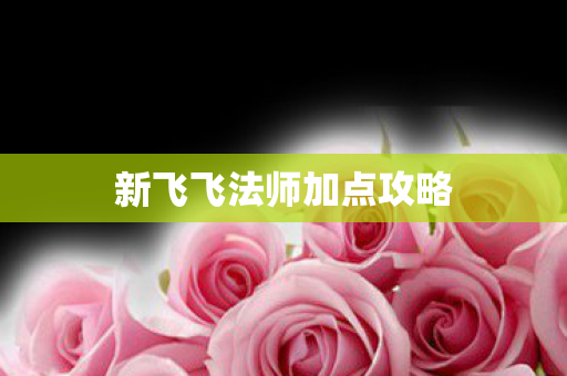 新飞飞法师加点攻略图片