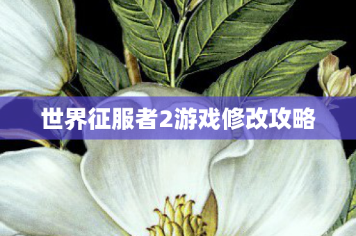 世界征服者2游戏修改攻略图片