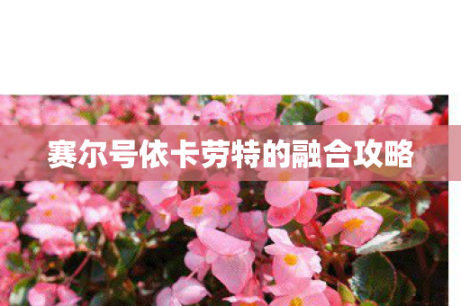 赛尔号依卡劳特的融合攻略图片