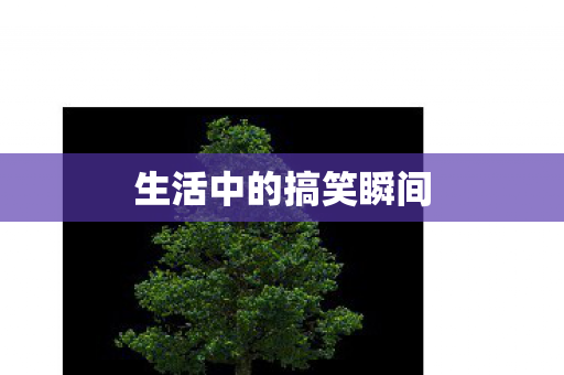 生活中的搞笑瞬间图片