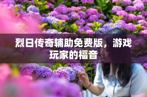 烈日传奇辅助免费版图片