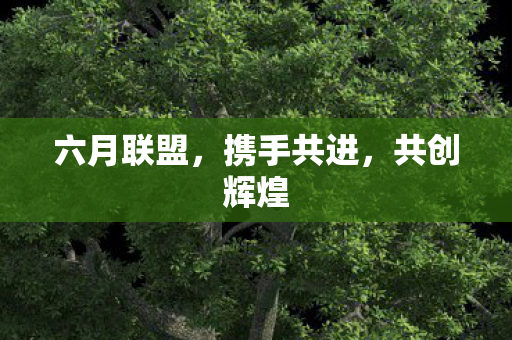 六月联盟图片