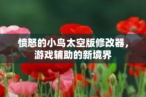 愤怒的小鸟太空版修改器图片