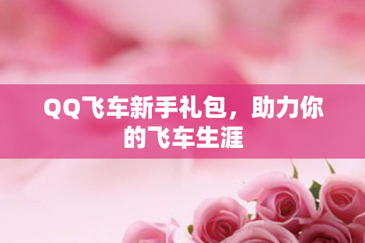 QQ飞车新手礼包图片
