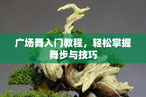 轻松掌握舞步与技巧图片