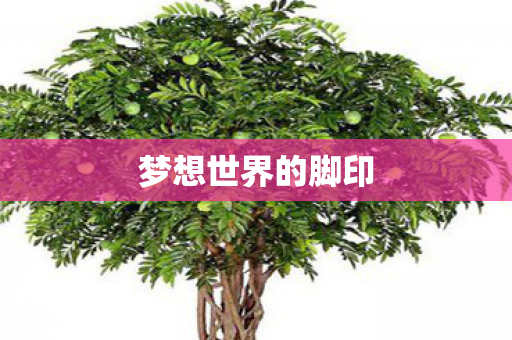 梦想世界的脚印图片