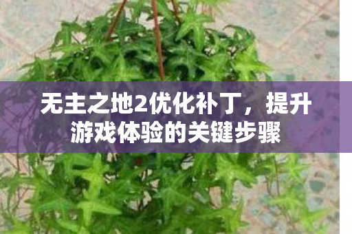 提升游戏体验的关键步骤图片