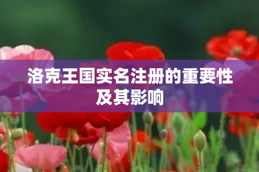 洛克王国实名注册的重要性及其影响图片