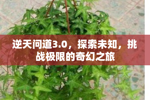 挑战极限的奇幻之旅图片