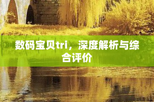 深度解析与综合评价图片