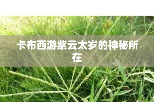 卡布西游紫云太岁的神秘所在图片