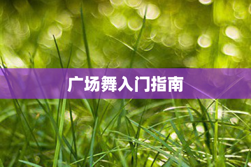 广场舞入门指南图片