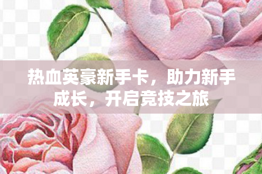 热血英豪新手卡图片