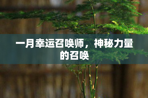 一月幸运召唤师图片