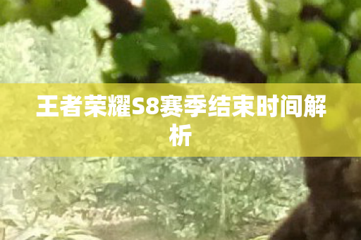 王者荣耀S8赛季结束时间解析图片
