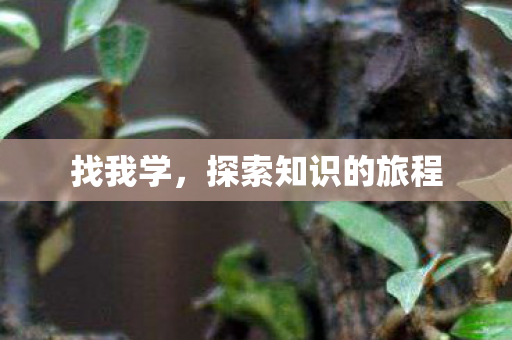 探索知识的旅程图片