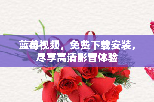 尽享高清影音体验图片