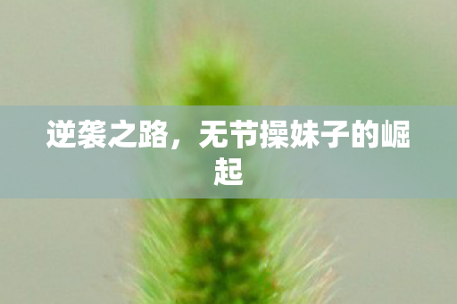 无节操妹子的崛起图片