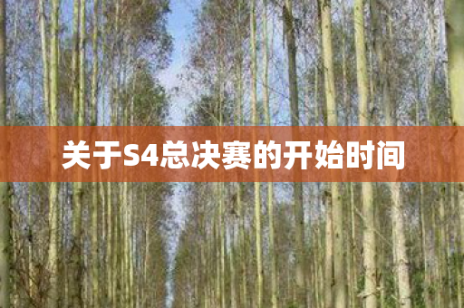 关于S4总决赛的开始时间图片