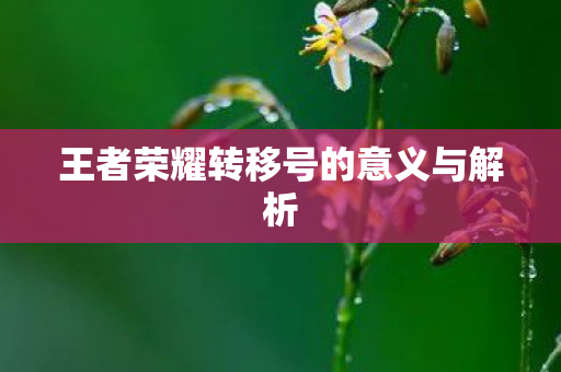 王者荣耀转移号的意义与解析图片