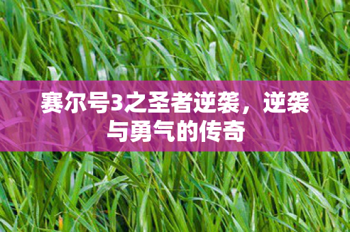 赛尔号3之圣者逆袭图片