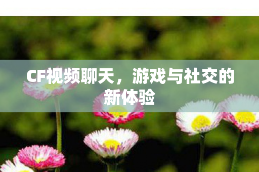 游戏与社交的新体验图片