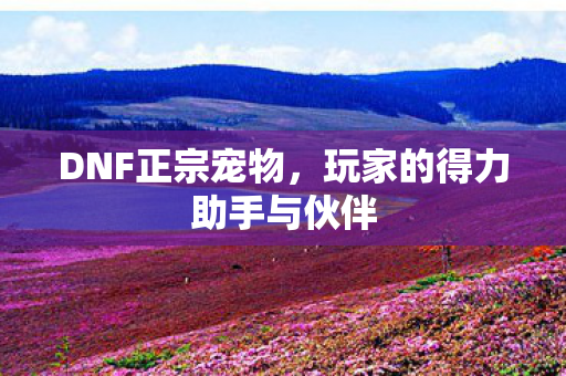 玩家的得力助手与伙伴图片
