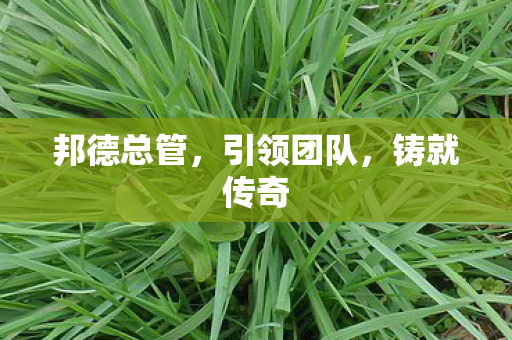 邦德总管图片