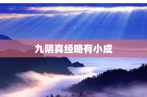 九阴真经略有小成图片