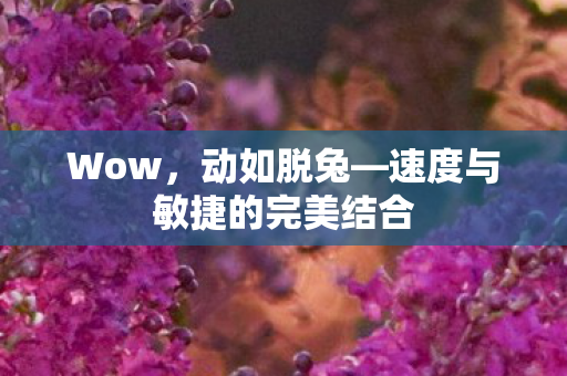 速度与敏捷的完美结合图片