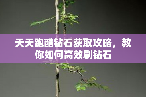 天天跑酷钻石获取攻略图片