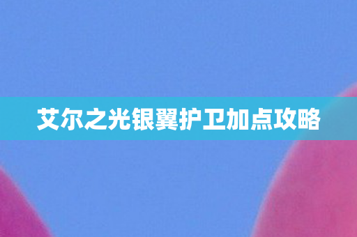 艾尔之光银翼护卫加点攻略图片