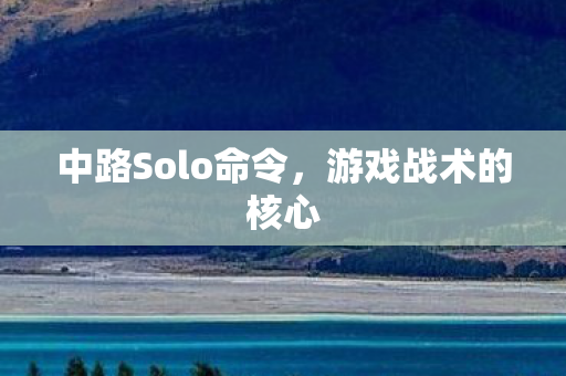 中路Solo命令图片