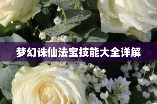 梦幻诛仙法宝技能大全详解图片