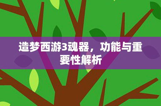 功能与重要性解析图片