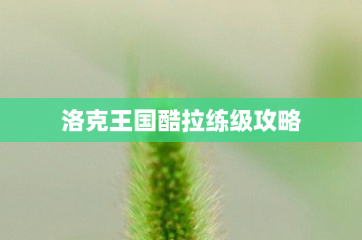 洛克王国酷拉练级攻略图片