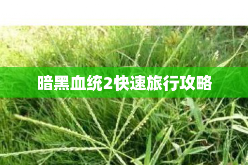 暗黑血统2快速旅行攻略图片